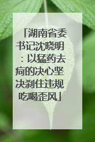 湖南省委书记沈晓明：以猛药去疴的决心坚决刹住违规吃喝歪风