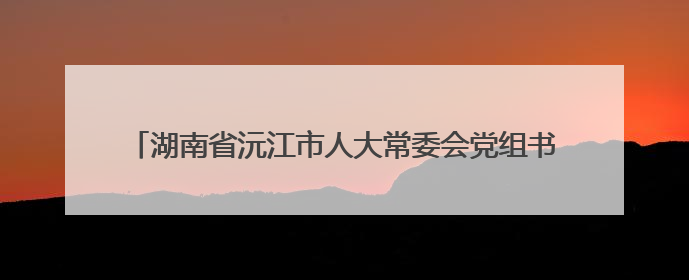 湖南省沅江市人大常委会党组书记、主任孟智勇接受审查调查