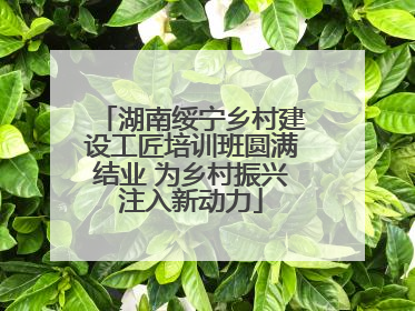 湖南绥宁乡村建设工匠培训班圆满结业 为乡村振兴注入新动力