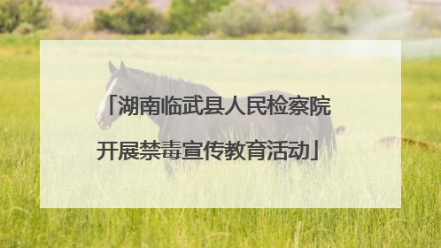 湖南临武县人民检察院开展禁毒宣传教育活动