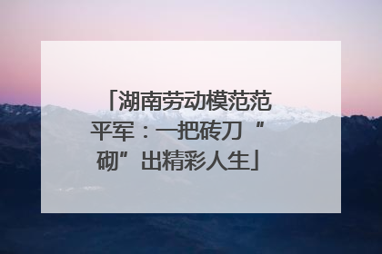 湖南劳动模范范平军：一把砖刀“砌”出精彩人生