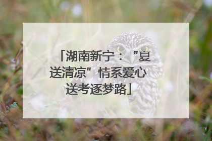 湖南新宁：“夏送清凉”情系爱心送考逐梦路