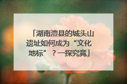 湖南澧县的城头山遗址如何成为“文化地标”？一探究竟