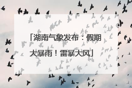 湖南气象发布：假期大暴雨！雷暴大风