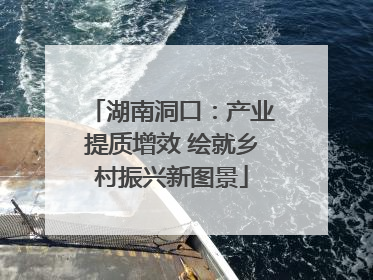 湖南洞口：产业提质增效 绘就乡村振兴新图景