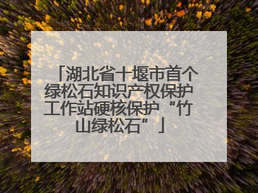 湖北省十堰市首个绿松石知识产权保护工作站硬核保护“竹山绿松石”