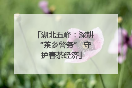 湖北五峰：深耕“茶乡警务” 守护春茶经济