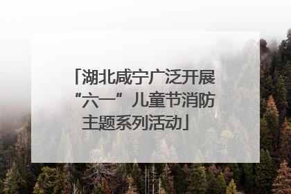 湖北咸宁广泛开展“六一”儿童节消防主题系列活动