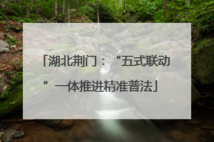 湖北荆门：“五式联动”一体推进精准普法