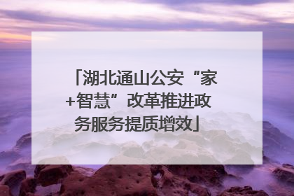 湖北通山公安“家+智慧”改革推进政务服务提质增效