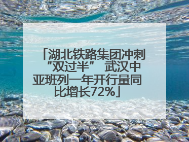 湖北铁路集团冲刺“双过半” 武汉中亚班列一年开行量同比增长72%
