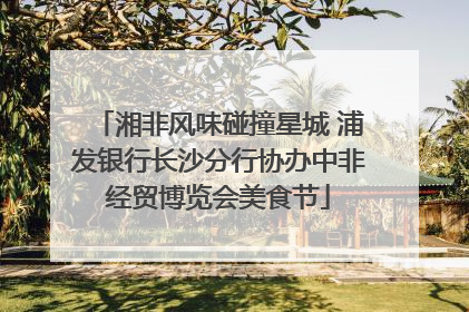 湘非风味碰撞星城 浦发银行长沙分行协办中非经贸博览会美食节