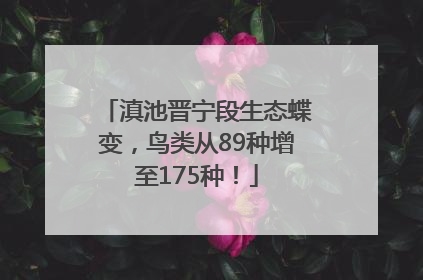 滇池晋宁段生态蝶变，鸟类从89种增至175种！