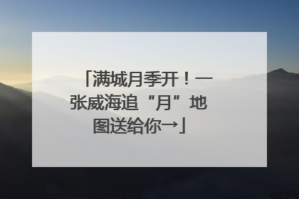 满城月季开！一张威海追“月”地图送给你→