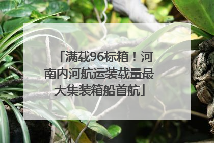 满载96标箱！河南内河航运装载量最大集装箱船首航