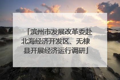 滨州市发展改革委赴北海经济开发区、无棣县开展经济运行调研