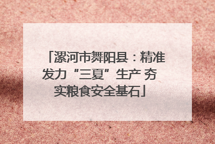 漯河市舞阳县：精准发力“三夏”生产 夯实粮食安全基石