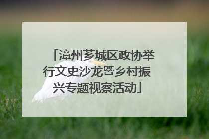 漳州芗城区政协举行文史沙龙暨乡村振兴专题视察活动