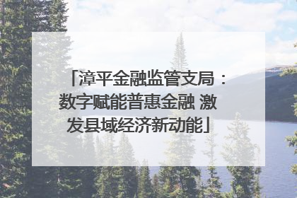 漳平金融监管支局：数字赋能普惠金融 激发县域经济新动能