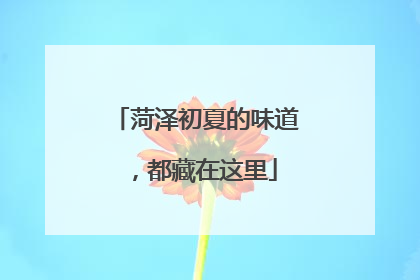 菏泽初夏的味道，都藏在这里