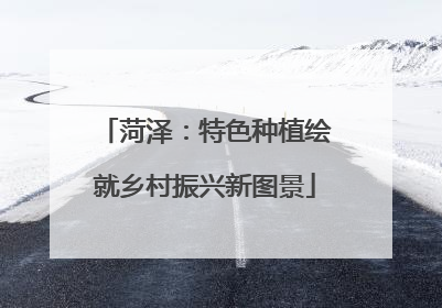 菏泽：特色种植绘就乡村振兴新图景