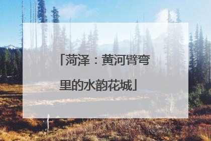 菏泽：黄河臂弯里的水韵花城