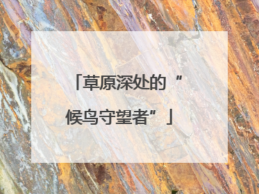 草原深处的“候鸟守望者”