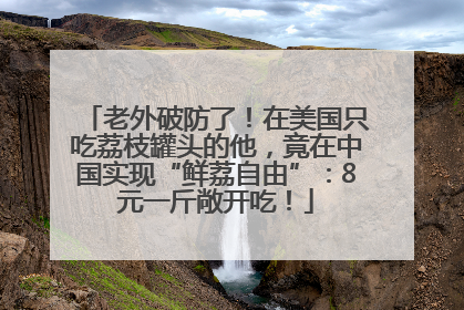 老外破防了！在美国只吃荔枝罐头的他，竟在中国实现“鲜荔自由”：8元一斤敞开吃！