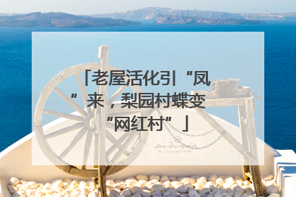 老屋活化引“凤”来，梨园村蝶变“网红村”