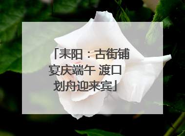 耒阳：古街铺宴庆端午 渡口划舟迎来宾