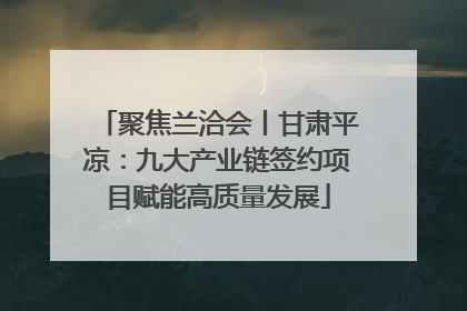 聚焦兰洽会丨甘肃平凉：九大产业链签约项目赋能高质量发展
