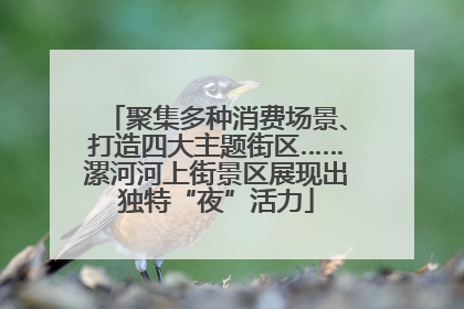 聚集多种消费场景、打造四大主题街区……漯河河上街景区展现出独特“夜”活力