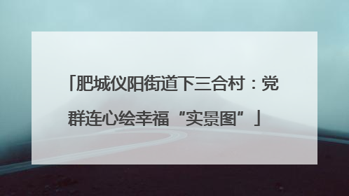 肥城仪阳街道下三合村：党群连心绘幸福“实景图”
