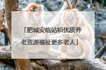 肥城安临站镇优质养老资源福祉更多老人
