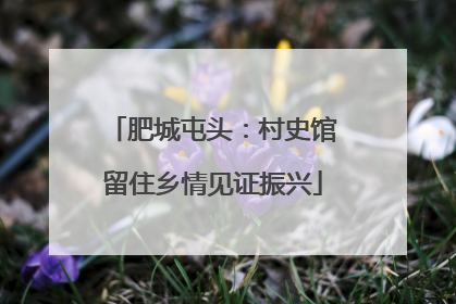 肥城屯头：村史馆留住乡情见证振兴