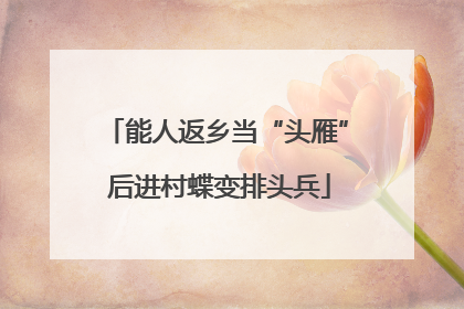 能人返乡当“头雁” 后进村蝶变排头兵
