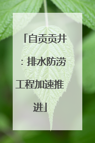 自贡贡井：排水防涝工程加速推进