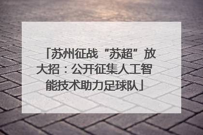 苏州征战“苏超”放大招：公开征集人工智能技术助力足球队
