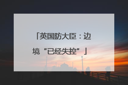 英国防大臣：边境“已经失控”