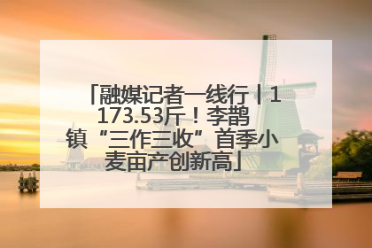 融媒记者一线行丨1173.53斤！李鹊镇“三作三收”首季小麦亩产创新高