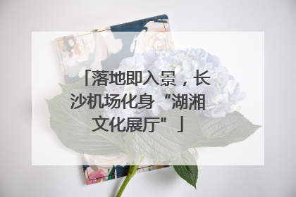 落地即入景，长沙机场化身“湖湘文化展厅”