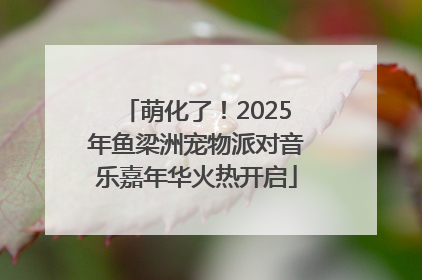 萌化了！2025年鱼梁洲宠物派对音乐嘉年华火热开启