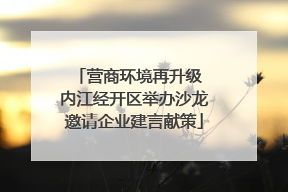 营商环境再升级 内江经开区举办沙龙邀请企业建言献策