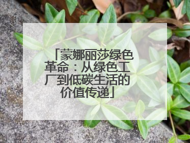 蒙娜丽莎绿色革命：从绿色工厂到低碳生活的价值传递
