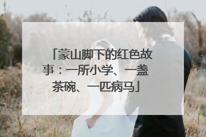 蒙山脚下的红色故事：一所小学、一盏茶碗、一匹病马
