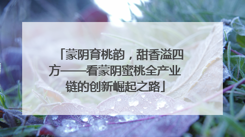蒙阴育桃韵，甜香溢四方——看蒙阴蜜桃全产业链的创新崛起之路