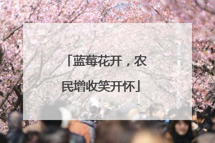 蓝莓花开，农民增收笑开怀