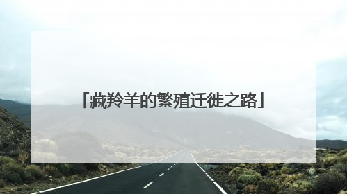 藏羚羊的繁殖迁徙之路