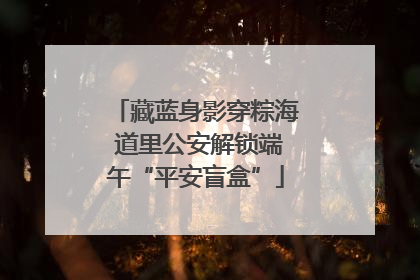 藏蓝身影穿粽海 道里公安解锁端午“平安盲盒”