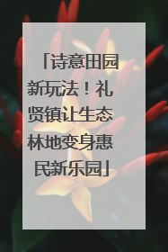 诗意田园新玩法！礼贤镇让生态林地变身惠民新乐园